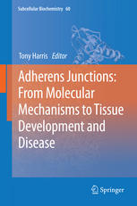 Adherens Junctions From Molecular Mechanisms To Tissue Development And Disease 1st Edition Tony J C Harris Auth