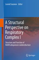 A Structural Perspective On Respiratory Complex I Structure And Function Of Nadhubiquinone Oxidoreductase 1st Edition Rouslan G Efremov
