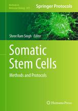 Somatic Stem Cells Methods And Protocols 1st Edition Pranela Rameshwar Auth