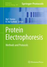 Protein Electrophoresis Methods And Protocols 1st Edition Oliver Smithies Auth