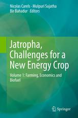 Jatropha Challenges For A New Energy Crop Volume 1 Farming Economics And Biofuel 1st Edition Nicolas Carels Auth