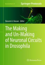 The Making And Unmaking Of Neuronal Circuits In Drosophila 1st Edition Liesbeth Zwarts