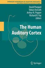 The Human Auditory Cortex 1st Edition David Poeppel Tobias Overath Auth