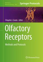 Olfactory Receptors Methods And Protocols 1st Edition Luis N Marenco