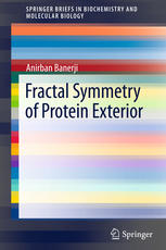 Fractal Symmetry Of Protein Exterior 1st Edition Anirban Banerji Auth