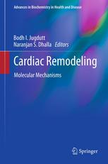 Cardiac Remodeling Molecular Mechanisms 1st Edition Grace Jung Ah Lee