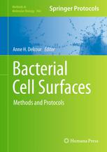 Bacterial Cell Surfaces Methods And Protocols 1st Edition Natividad Ruiz Auth