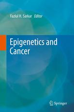 Epigenetics And Cancer 1st Edition Irfana Muqbil Fazlul H Sarkar