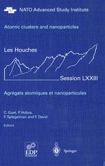 Atomic Clusters And Nanoparticles Agregats Atomiques Et Nanoparticules Les Houches Session Lxxiii 228 July 2000 1st Edition T P Martin Auth