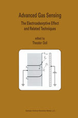 Advanced Gas Sensing The Electroadsorptive Effect And Related Techniques Martin Bgner