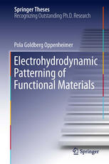 Electrohydrodynamic Patterning Of Functional Materials 1st Edition Pola Goldberg Oppenheimer Auth