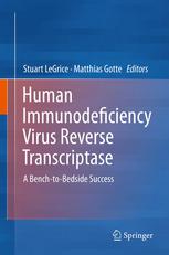 Human Immunodeficiency Virus Reverse Transcriptase A Benchtobedside Success 1st Edition Robert Yarchoan