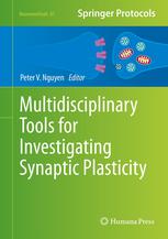 Multidisciplinary Tools For Investigating Synaptic Plasticity 1st Edition Jane Beil