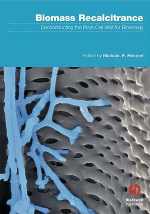 Biomass Recalcitrance Deconstructing The Plant Cell Wall For Bioenergy