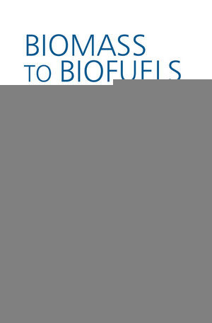 Biomass To Biofuels Strategies For Global Industries Alain A Vertes