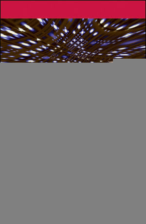 Dielectric Materials For Electrical Engineering Juan Martinezvega