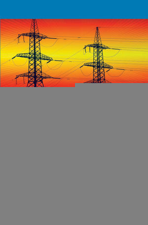 Electrical Distribution Networks Nouredine Hadjsad Jeanclaude Sabonnadire