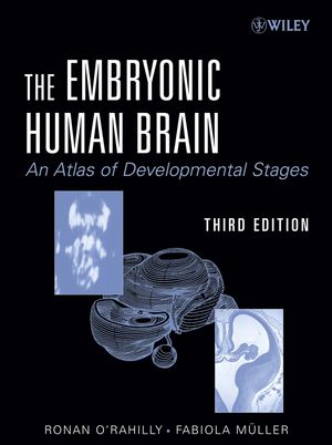 The Embryonic Human Brain An Atlas Of Developmental Stages Third Edition Drhc Ronan Orahilly