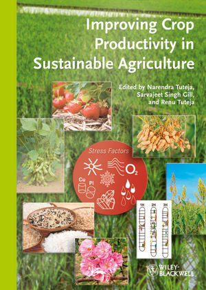Improving Crop Productivity In Sustainable Agriculture Tuteja