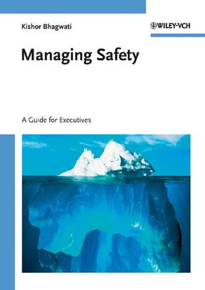 Managing Safety A Guide For Executives Kishor Bhagwatiauth
