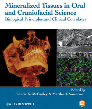 Mineralized Tissues In Oral And Craniofacial Science Laurie K Mccauley