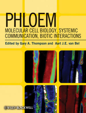 Phloem Molecular Cell Biology Systemic Communication Biotic Interactions Gary A Thompson