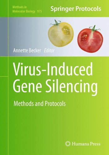 Virusinduced Gene Silencing Methods And Protocols 1st Edition Matthias Lange