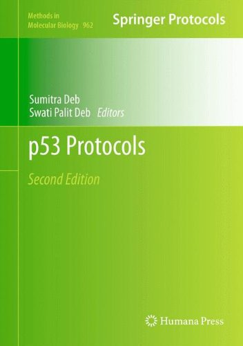 P53 Protocols 2nd Edition Marie P Khoury Virginie Marcel Kenneth Fernandes