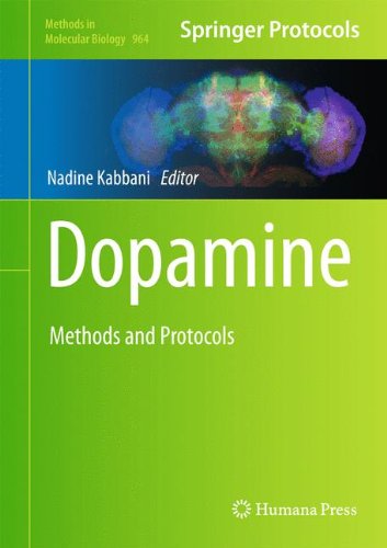 Dopamine Methods And Protocols 1st Edition Jiping Xiao Clare Bergson Auth