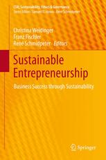Sustainable Entrepreneurship Business Success Through Sustainability 1st Edition Ren Schmidpeter