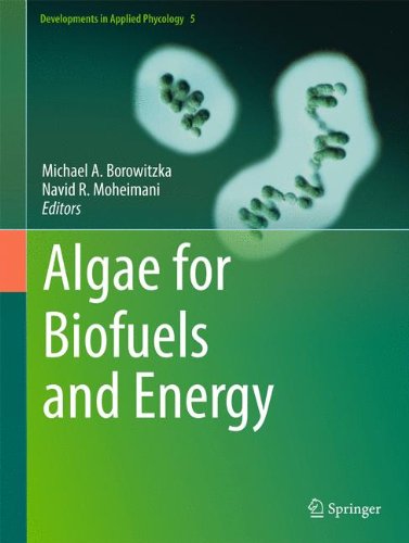 Algae For Biofuels And Energy 1st Edition Michael A Borowitzka Auth