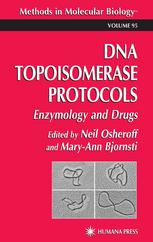 Dna Topoisomerase Protocols 1st Edition Lance Stewart James J Champoux Auth