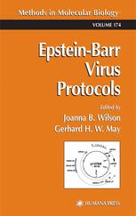 Epsteinbarr Virus Protocols 1st Edition Paul J Farrell Auth