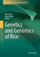 Genetics And Genomics Of Rice 1st Edition Takeshi Itoh Phd
