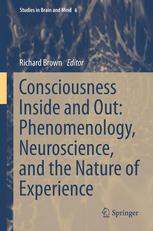 Consciousness Inside And Out Phenomenology Neuroscience And The Nature Of Experience 1st Edition Richard Brown Auth
