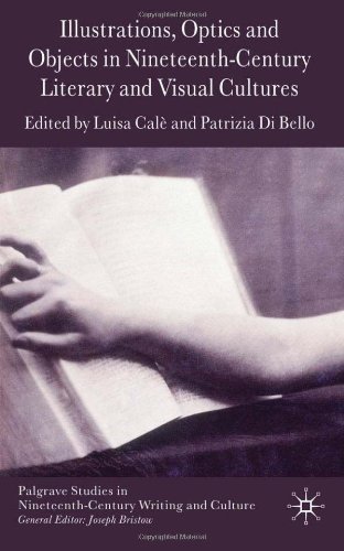Illustrations Optics And Objects In Nineteenthcentury Literary And Visual Cultures Luisa Cal