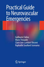 Practical Guide To Neurovascular Emergencies 1st Edition Guillaume Saliou