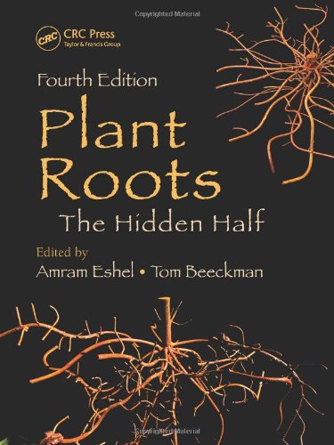 Plant Roots The Hidden Half Fourth Edition 4th Edition Amram Eshel