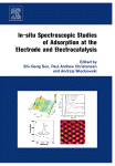Insitu Spectroscopic Studies Of Adsorption At The Electrode And Electrocatalysis Shigang Sun
