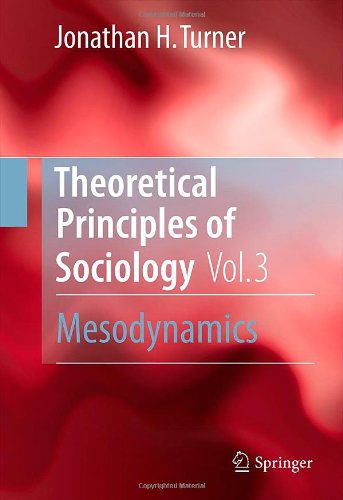 Theoretical Principles Of Sociology Volume 3 Mesodynamics Jonathan H Turner