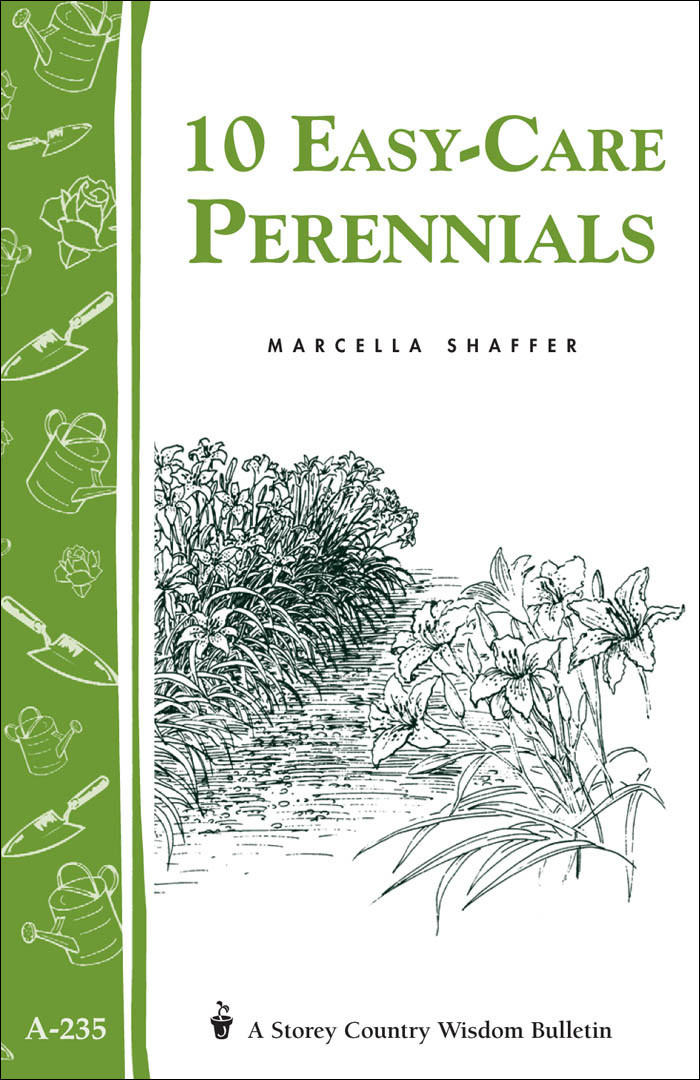 10 Easycare Perennials Marcella Schaffer
