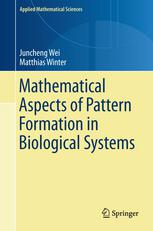 Mathematical Aspects Of Pattern Formation In Biological Systems 1st Edition Juncheng Wei