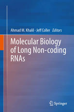 Molecular Biology Of Long Noncoding Rnas 1st Edition Daniel C Factor
