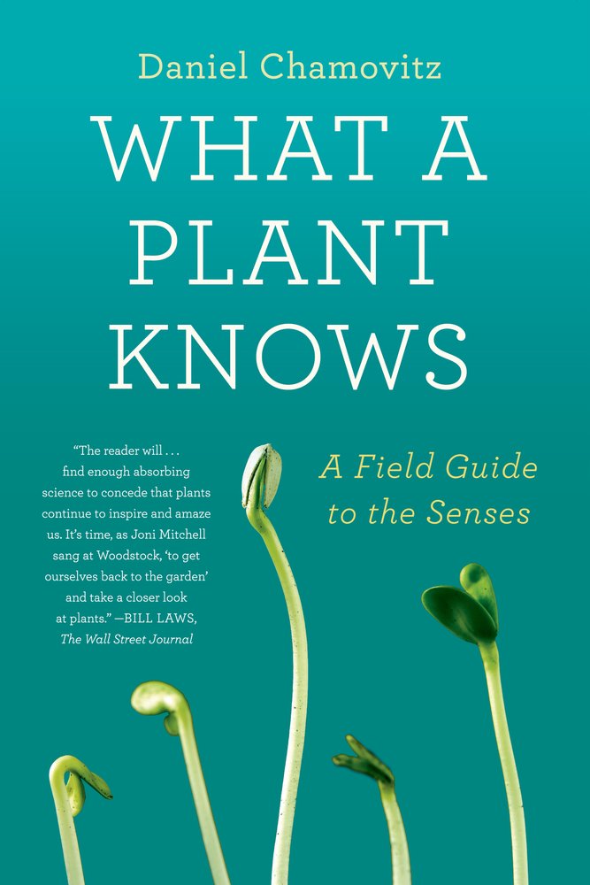 What A Plant Knows A Field Guide To The Senses Daniel Chamovitz