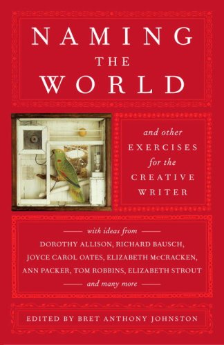 Naming The World And Other Exercises For The Creative Writer Bret Anthony Johnston