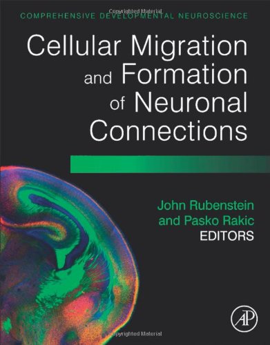 Cellular Migration And Formation Of Neuronal Connections Comprehensive Developmental Neuroscience 1st Edition John Rubenstein