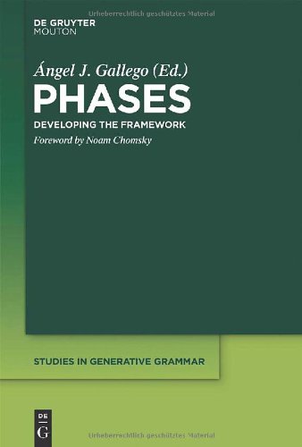 Phases Developing The Framework Ngel J Gallego