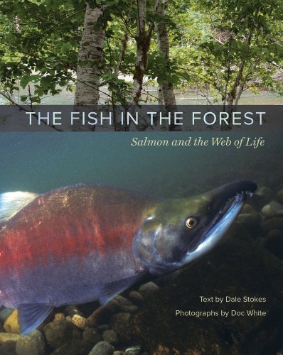 The Fish In The Forest Salmon And The Web Of Life Dale Stokes