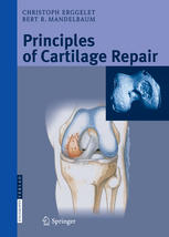 Principles Of Cartilage Repair 1st Edition Christoph Erggelet Md