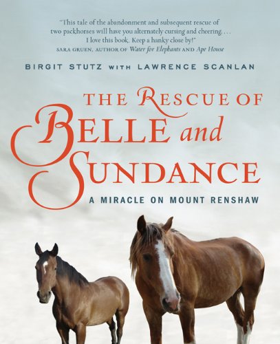 The Rescue Of Belle And Sundance Birgit Stutz Lawrence Scanlan